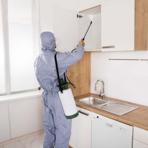 5 Signs You Need Pest Control in Vizag Immediately